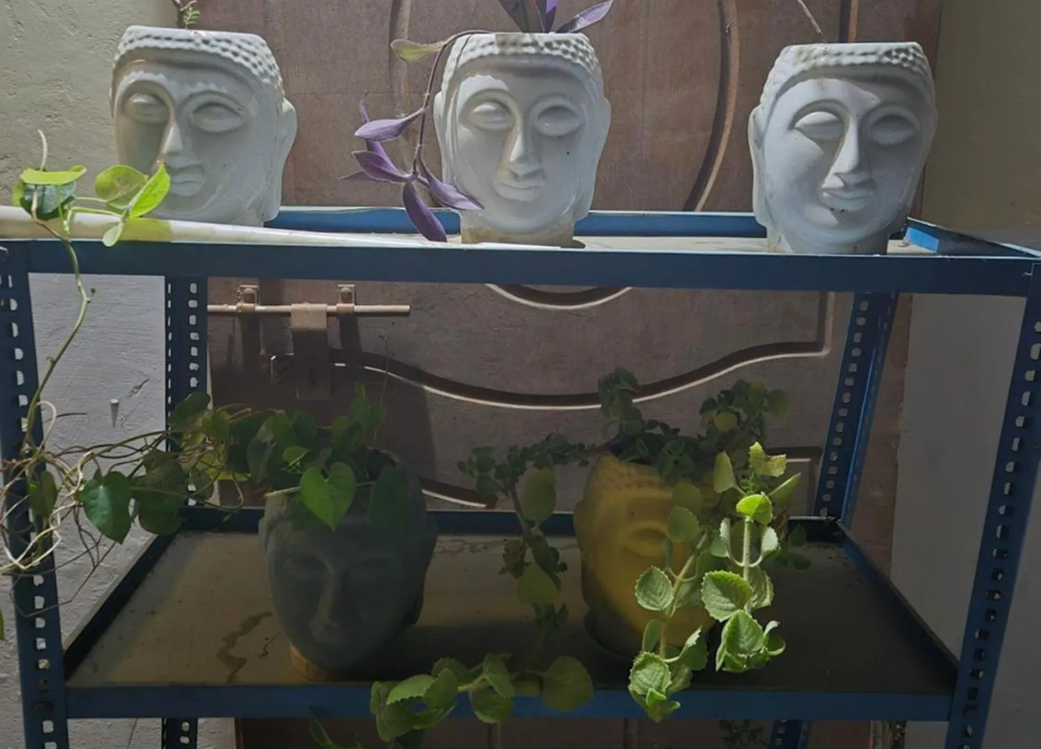 Xafe Home Varanasi Homestay